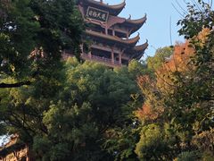 -黄鹤楼公园(黄鹤楼)