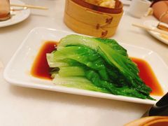 -金鼎轩(方庄天坛店)
