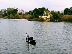 -南通濠河风景名胜区