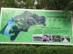 -田心森林公园