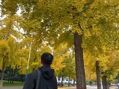 -西北农林科技大学(北校区)