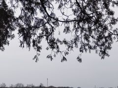 -颐和园