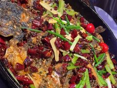 -老板恋上鱼(恒隆广场店)