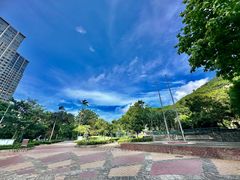 -石排湾郊野公园