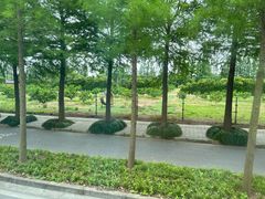 -上海长兴岛郊野公园
