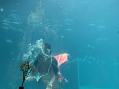 -海棠湾洲际-涛·海底餐厅·美人鱼·自助餐·海底隧道