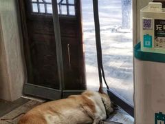 -阿木舂记·特色小吃(平江路店)