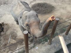 -杭州野生动物世界