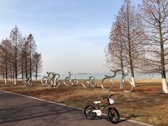 -苏州东太湖生态园