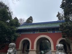 -灵谷景区