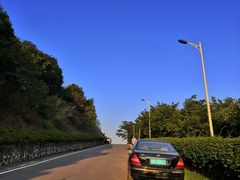 -火炉山森林公园