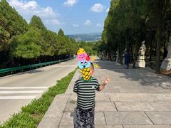 -原山国家森林公园