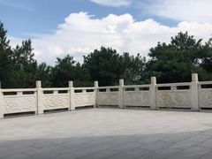 -铁山坪森林公园