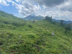 -灵山