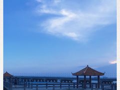 -东郊椰林
