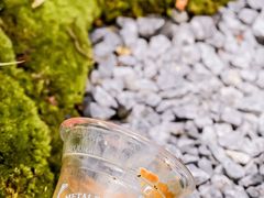 -Metal hands·铁手咖啡