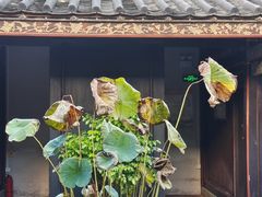 -载阳客栈
