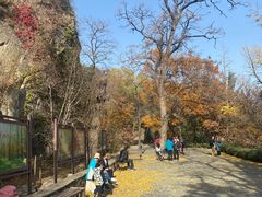 -北京鹫峰国家森林公园