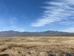 -野鸭湖国家湿地公园