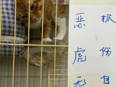 -小民大排档(马场角横路店)