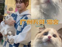 -lincat·猫舍(广州店)