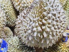 -港华水果街(港华广场店)