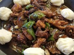 -食家鸽园