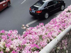 -烈士陵园(地铁站)