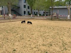 -北戴河集发农业梦想王国