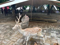 -西安秦岭野生动物园