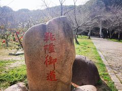 -苏州上方山国家森林公园