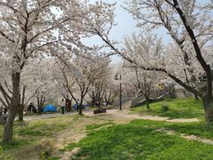 -苏州上方山国家森林公园