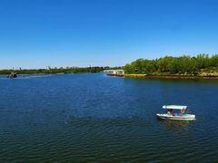 -大兴滨河森林公园