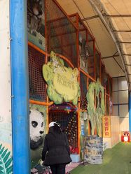 -寻石问宝研学亲子乐园(朝阳公园店)