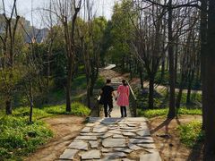 -新江湾城公园