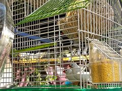 -锦上中式酒馆(南内环店)