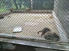 -西安秦岭野生动物园