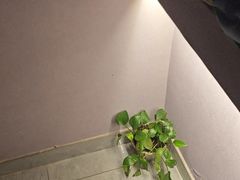 -怡心阁·水疗SPA(天府广场店)