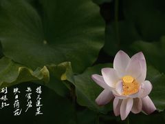 -蠡湖大桥公园