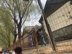 -尚庄度假村·庭台树下·户外烧烤·团建CS·轰趴营地(上庄水库店)