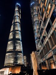 -巍阁高端月子会所