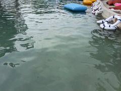 -颐和澜悦欢乐水世界(原颐和温泉城)