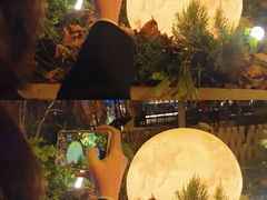 -纽扣NEWKO