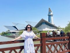 -盐城丹顶鹤湿地生态旅游区