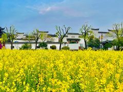 -广富林郊野公园