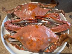 -连鹭海鲜·海肠捞饭·海胆饭(星海店)