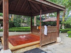 -春晖园度假酒店温泉