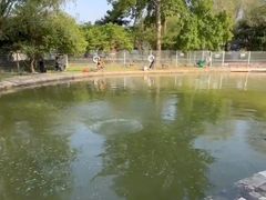 -酷鱼垂钓CLUB(朝阳区博大路店 )