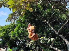 -海南铜鼓岭景区