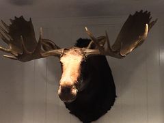 -Abercrombie & Fitch(天环广场店)